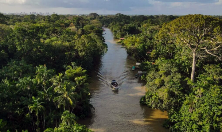 El Fondo Mundial para la Naturaleza alerta sobre la pérdida de la Amazonía