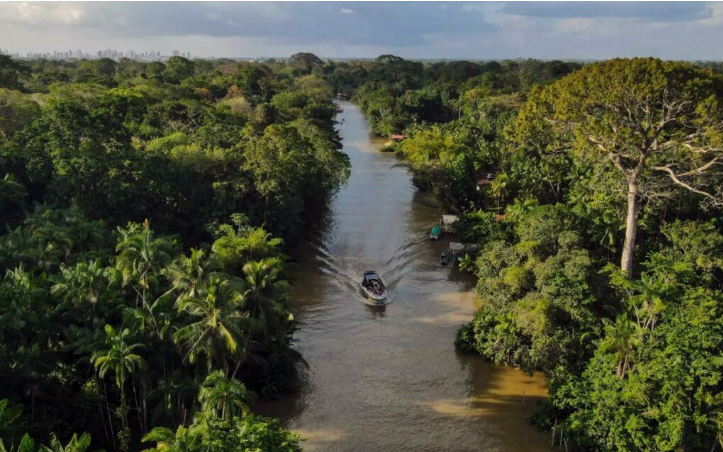 el-fondo-mundial-para-la-naturaleza-alerta-sobre-la-perdida-de-la-amazonia.ecuador221.com_.ec_ El Fondo Mundial para la Naturaleza alerta sobre la pérdida de la Amazonía