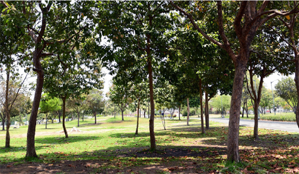 El Parque Samanes de Guayaquil cierra a las 18:00