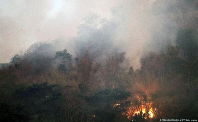 Incendios deforestan la amazonía brasileña