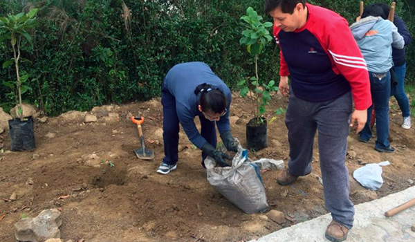 Minga de reforestación en Quito: 20.000 plantas y arbustos se sembrarán