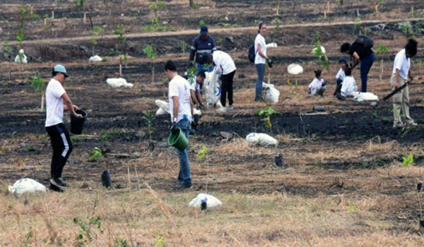 Reforestación del Parque Samanes