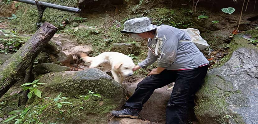 Luna-una-guia-canina Luna, la perrita guía del Gran Cañón de Archidona