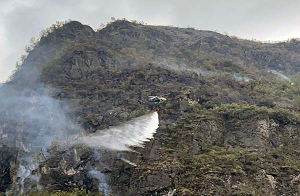 Denuncia contra 13 presuntos causantes de incendios forestales en Azuay