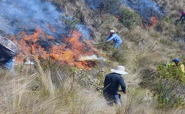 Incendio forestal en Chilla arrasa con 1.300 hectáreas de bosques