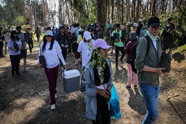 Quito realizó jornada de reforestación en el parque Metropolitano