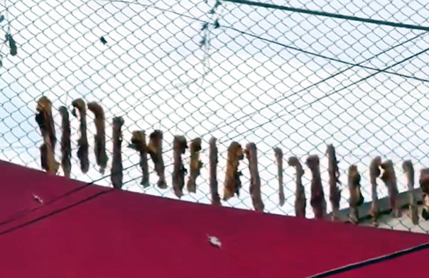 Autoridades encontraron carne colgada en cordeles de un chifa