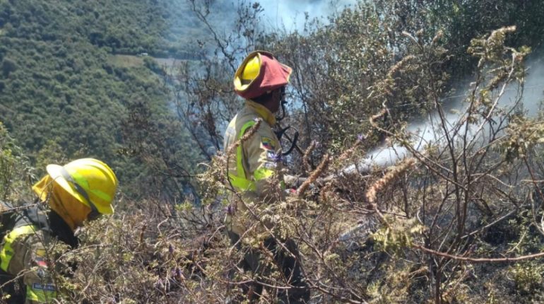 Bomberos combaten incendio forestal en las laderas del Pichincha