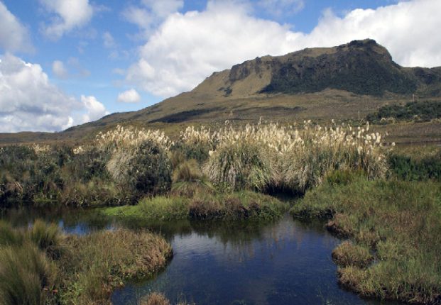 Comunidades piden detener proyecto de carretera que amenaza el Parque Nacional Llanganates