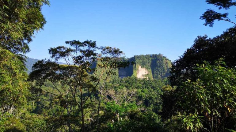 Ecuador lanza nuevo canje de deuda para conservación ambiental