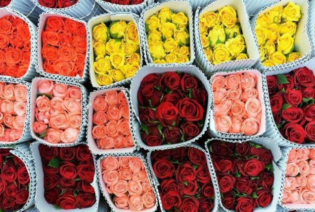Auge de la exportación de flores en el aeropuerto Mariscal Sucre