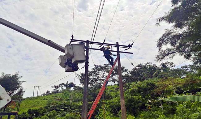 CNEL realizó trabajos de mantenimiento en dos sectores Guayaquil