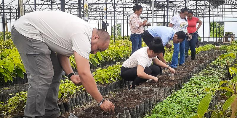 ecuador 221 los-rios-impulsa-reforestacion-y-agricultura-sostenible-innovadora.ecuador221.com_.ec_ Los Ríos impulsa reforestación y agricultura sostenible innovadora