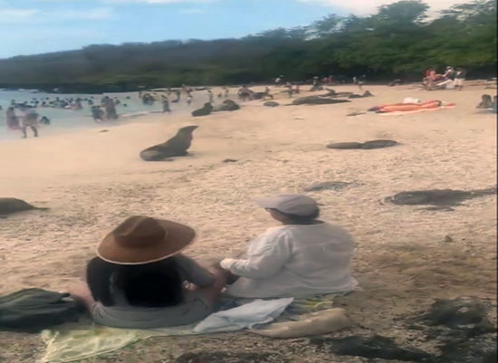 Parque Nacional Galápagos llama la atención por falta de control en playa