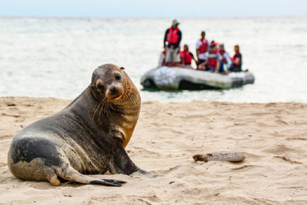suspenden-actividades-acuaticas-en-dos-playas-de-galapagos.ecuador221.com_.ec_ Suspenden actividades acuáticas en dos playas de Galápagos