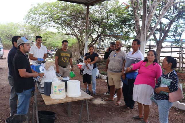 Ganaderos de Galápagos mejoran producción con alimentación sostenible