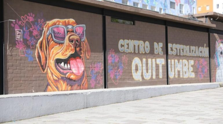 Quitumbe habilita punto fijo de esterilización gratuita para mascotas