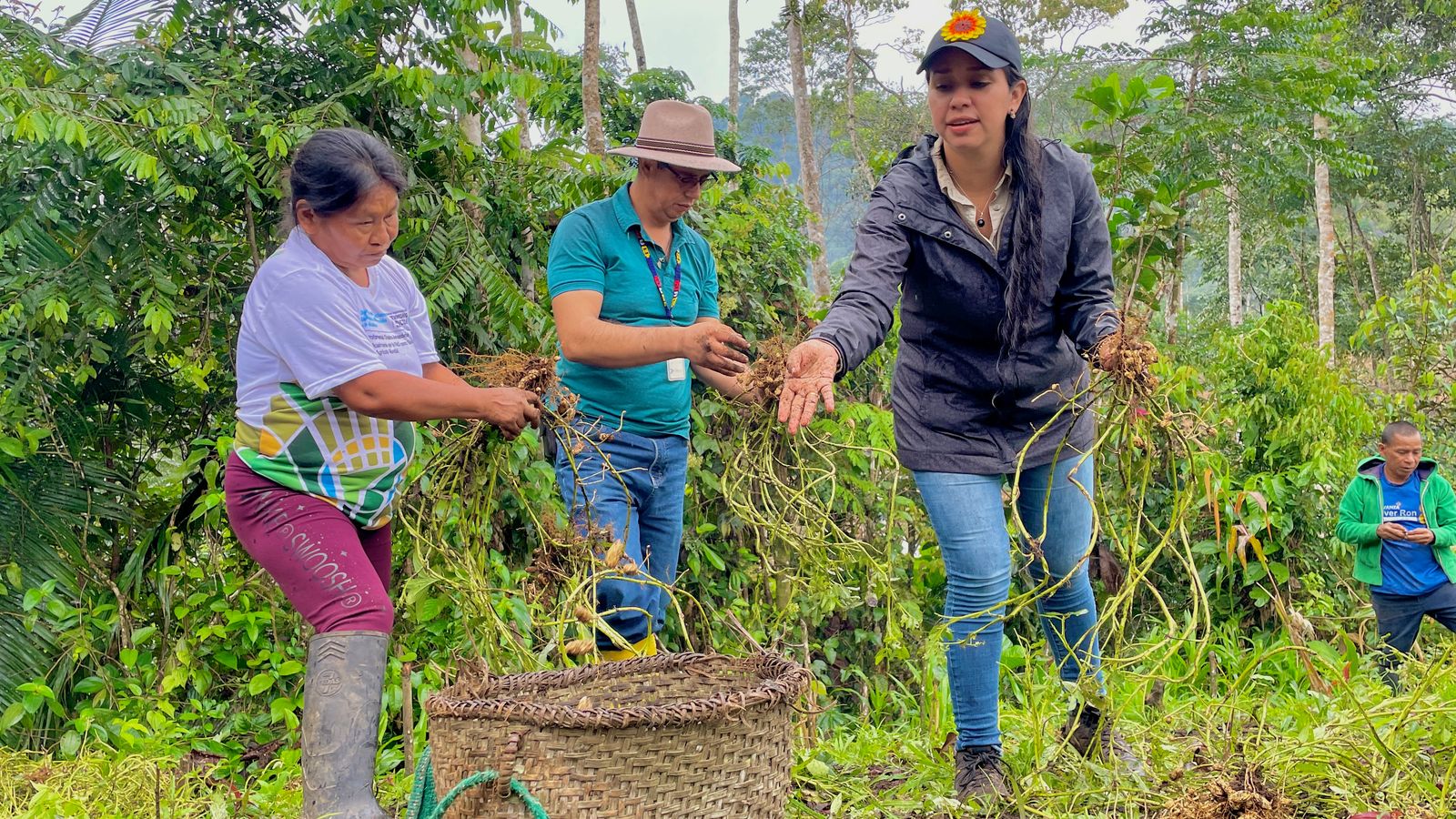 MAG-impulsa-cultivos-sostenibles-para-fortalecer-la-seguridad-alimentaria.ecuador221.com_.ec_ MAG impulsa cultivos sostenibles para fortalecer la seguridad alimentaria