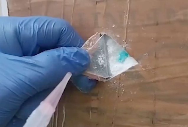 Policía impide envío de 5.9 millones de dosis de cocaína