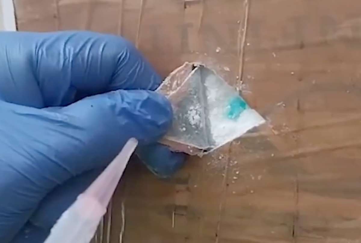 policia-impide-envio-de-5.9-millones-de-dosis-de-cocaina.ecuador221.com_.ec_ Policía impide envío de 5.9 millones de dosis de cocaína