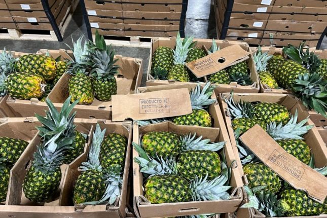 Cocaína en piñas tenía como destino final España