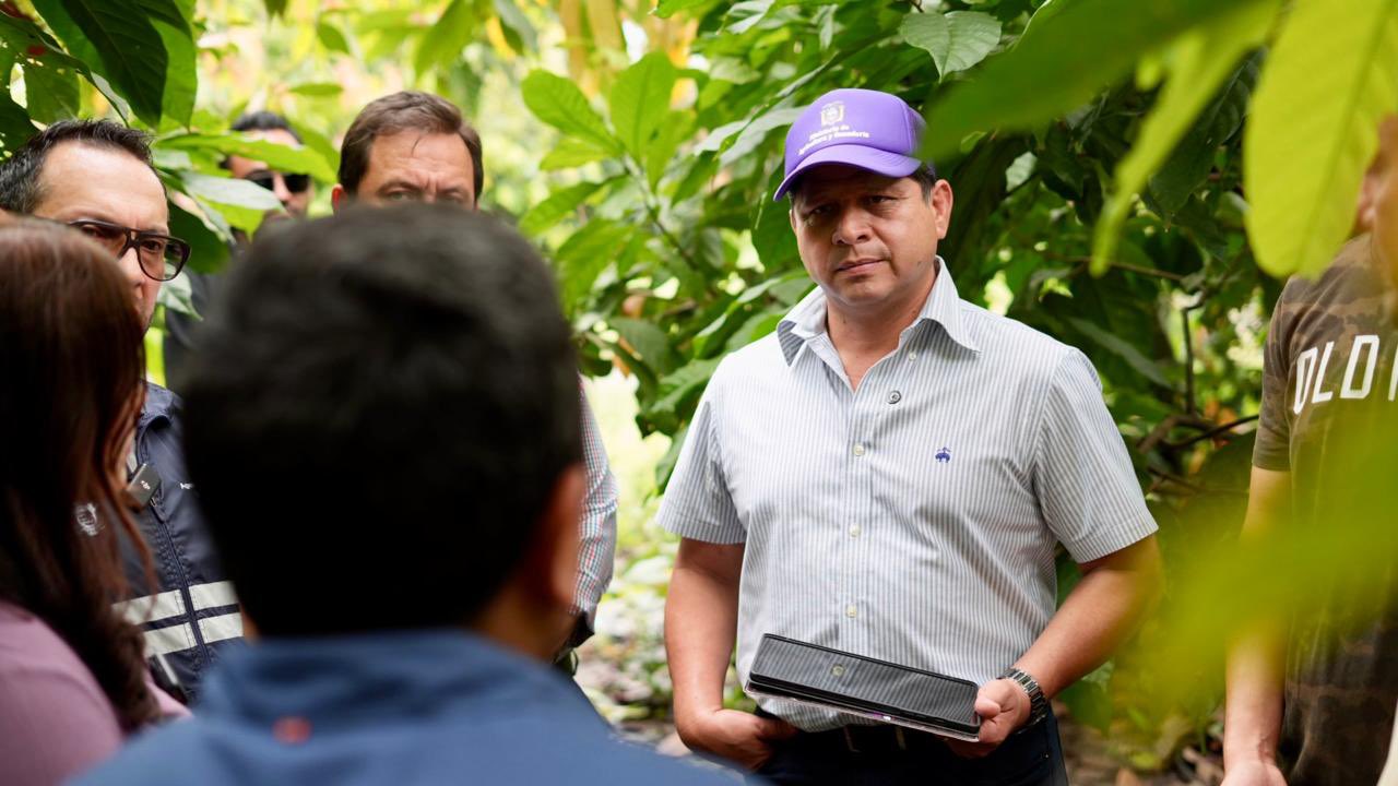 ecuador 221 ecuador-implementa-sistema-de-trazabilidad-para-cacao-exportable.ecuador221.com_.ec_ Ecuador implementa sistema de trazabilidad para cacao exportable