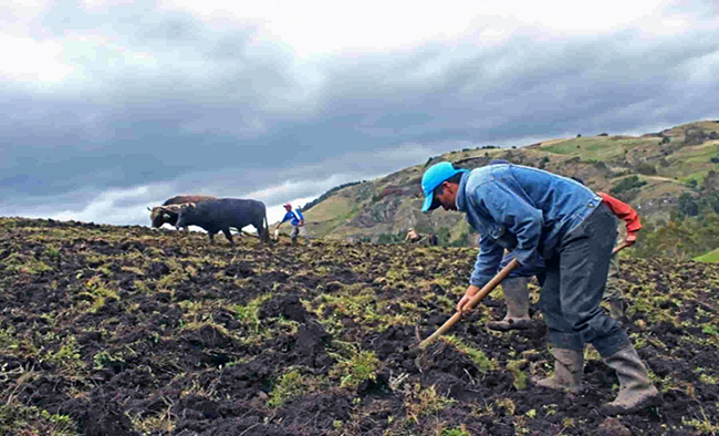 Ecuador participó en reunión preparatoria de Cumbre sobre Sistemas Alimentarios