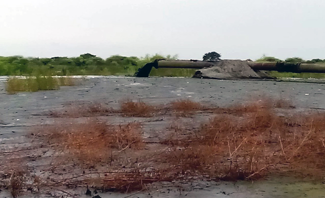 El dragado de la zona de El Palmar en peligro por despidos