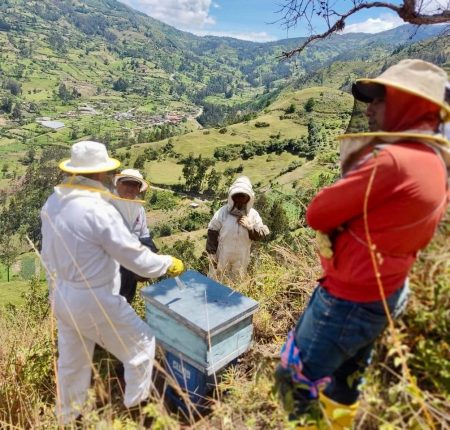 MAG fortalece la apicultura en Chantaco con capacitación