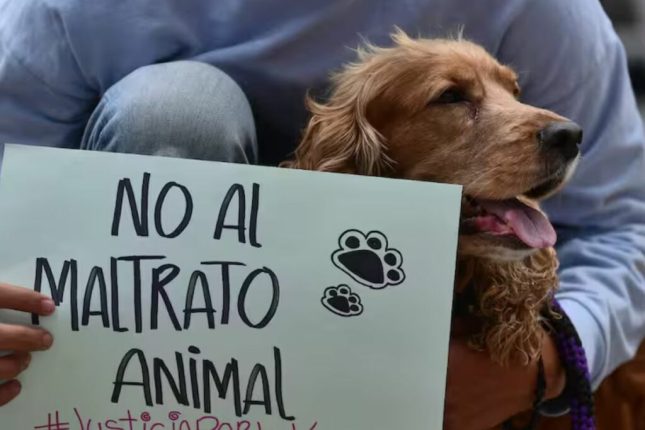 Plantón en Quito exige justicia por Negrita agredida sexualmente