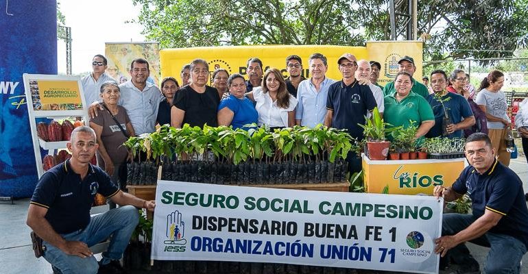 Buena Fe impulsa cacao con entrega de 38 mil plantas