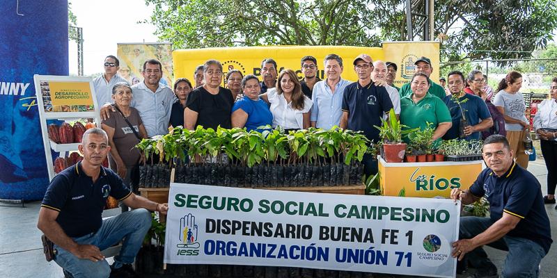 buena-fe-impulsa-cacao-con-entrega-de-38-mil-plantas.ecuador221.com_.ec_ Buena Fe impulsa cacao con entrega de 38 mil plantas