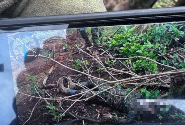 Ejército ecuatoriano encuentra cuerpos de guerrilleros en Alto Punino