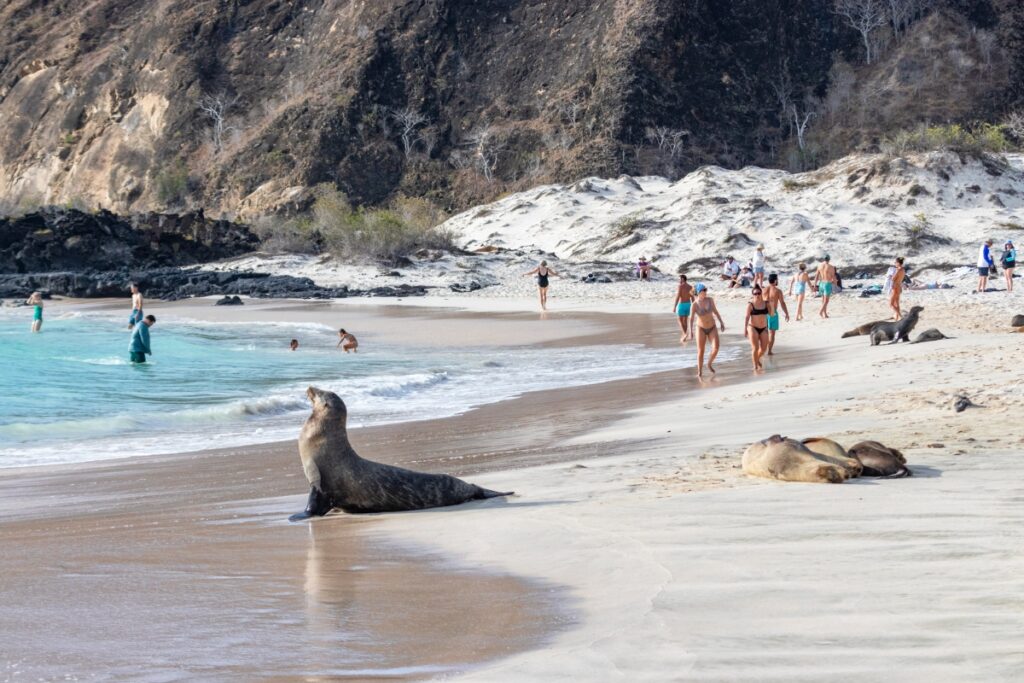 galapagos-genero-509-millones-y-42-mil-empleos.ecuador221.com_.ec_ Galápagos generó $509 millones y 42 mil empleos