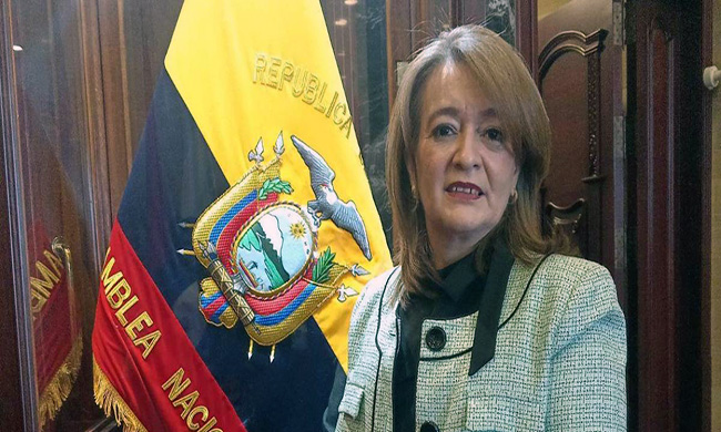 La asambleísta de ADN María del Carmen Carrasco renunció a su curul