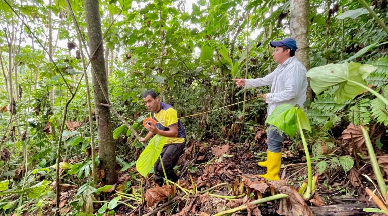 MAG asegura uso legal y responsable de recursos maderables