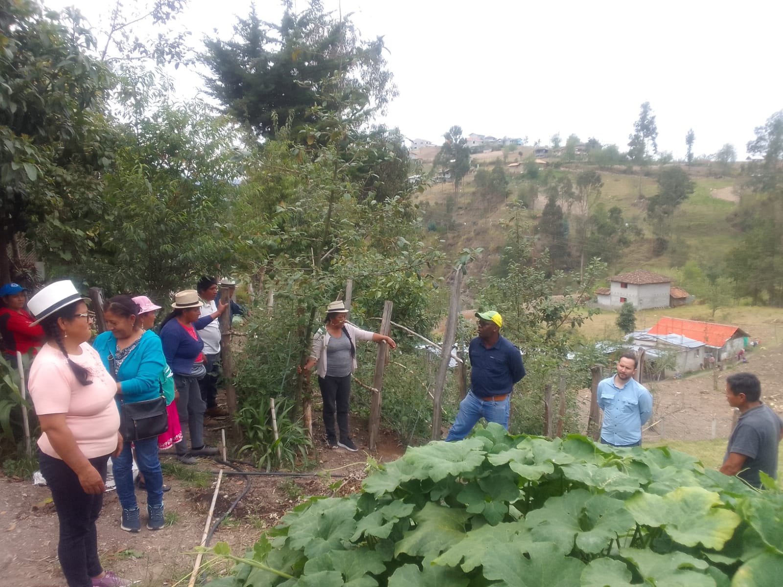 mag-impulsa-formalizacion-y-mejora-ingresos-de-productores-azuayos.ecuador21.com_.ec_ MAG impulsa formalización y mejora ingresos de productores azuayos