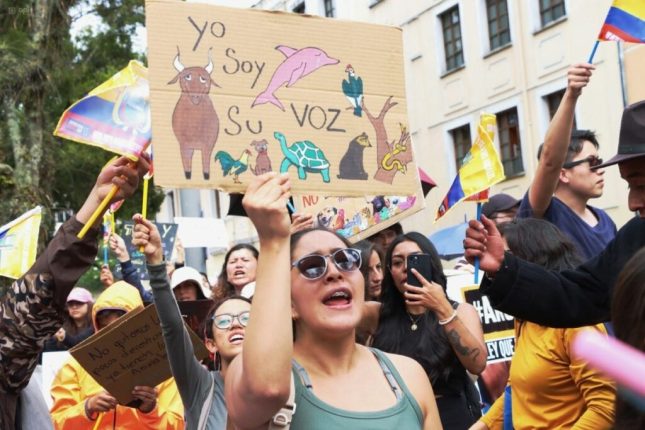 Asamblea Nacional archiva proyecto de Ley Animalista LODA