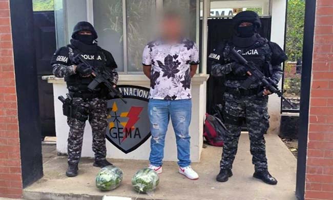 decomisan-cocaina-oculta-en-sandias-en-ibarra-ecuador221.com_.ec_ Decomisan cocaína oculta en sandías en Ibarra