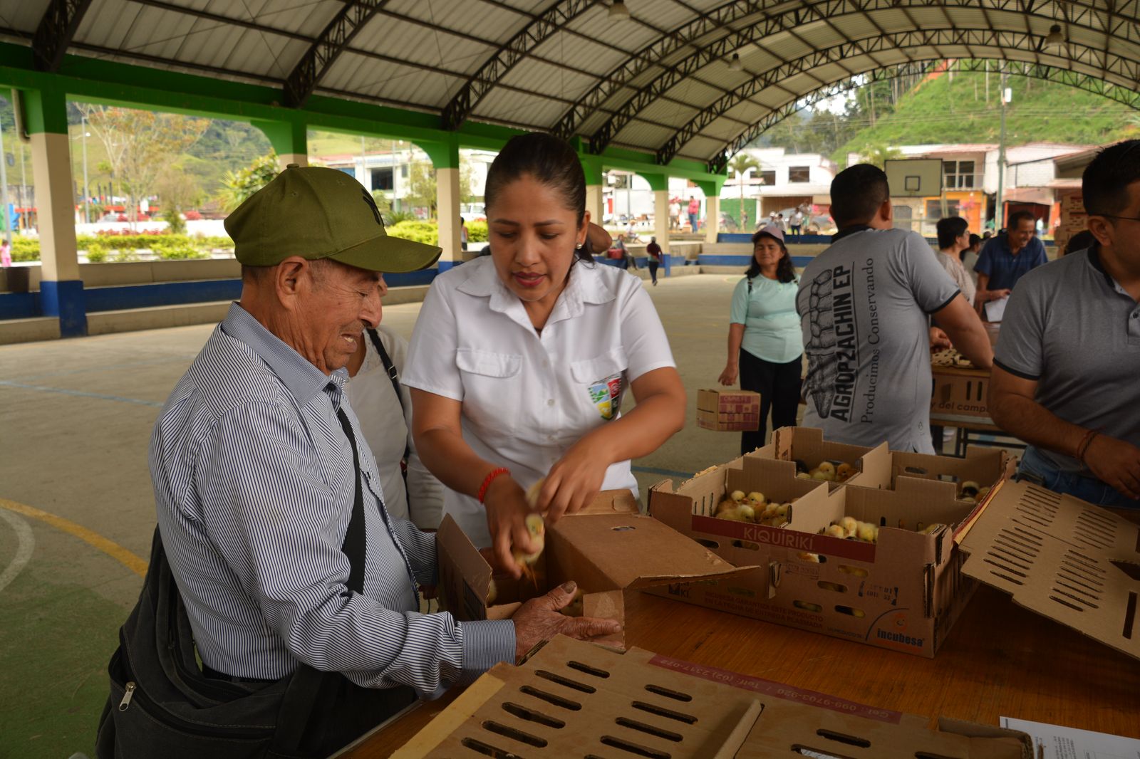 FOTOS-5 Zamora Chinchipe cuenta con  soberanía alimentaria en las familias rurales