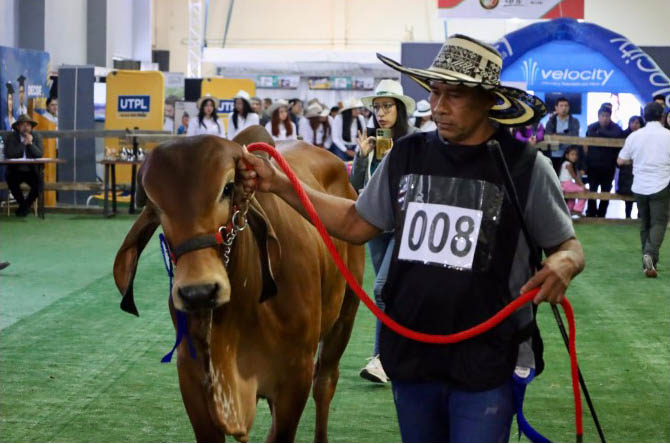 ecuador 221 banecuador-impulsa-el-desarrollo-del-sector-agropecuario-en-loja-ecuador221.com_.ec_ BanEcuador impulsa el desarrollo del sector agropecuario en Loja