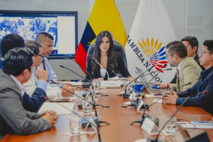 Comisión de Transparencia fiscaliza contratos entre Termopichincha y Austral