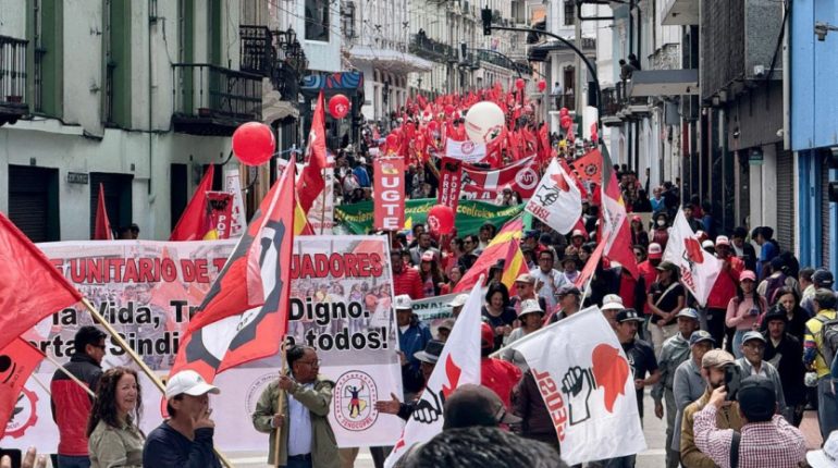 Diez demandas de inconstitucionalidad cercan leyes de Noboa