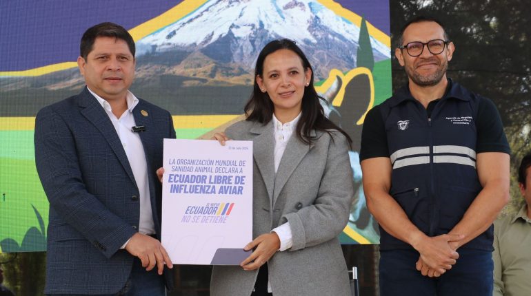 Ecuador logra estatus sanitario libre de influenza aviar