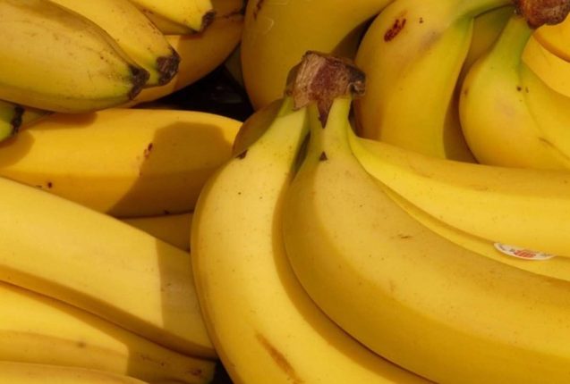 Exportaciones ecuatorianas de banano a China aumentan 45,56%