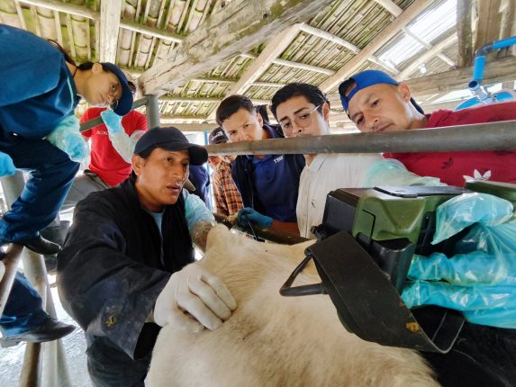 FAO y MAG finalizan curso de ecografía veterinaria