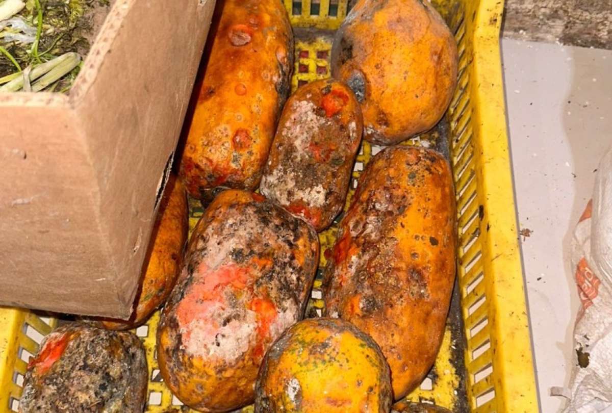 locales-clausurados-en-guayas-por-plagas-y-sanciones.ecuador221.com_.ec_ Locales clausurados en Guayas por plagas y sanciones