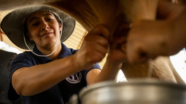 Productores exigen reforma legal para leche sustentable