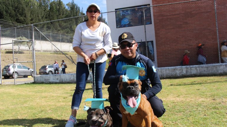 Quito lanza curso gratuito para adiestramiento canino