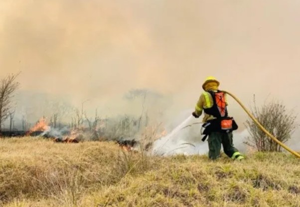 Quito refuerza vigilancia y sanciona para evitar incendios forestales